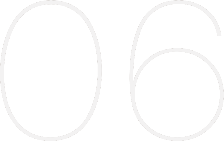 06